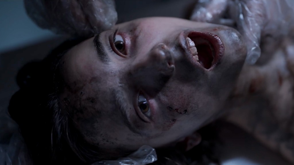 The Wolf, the Fox, & the Leopard - Left For Good Trailer