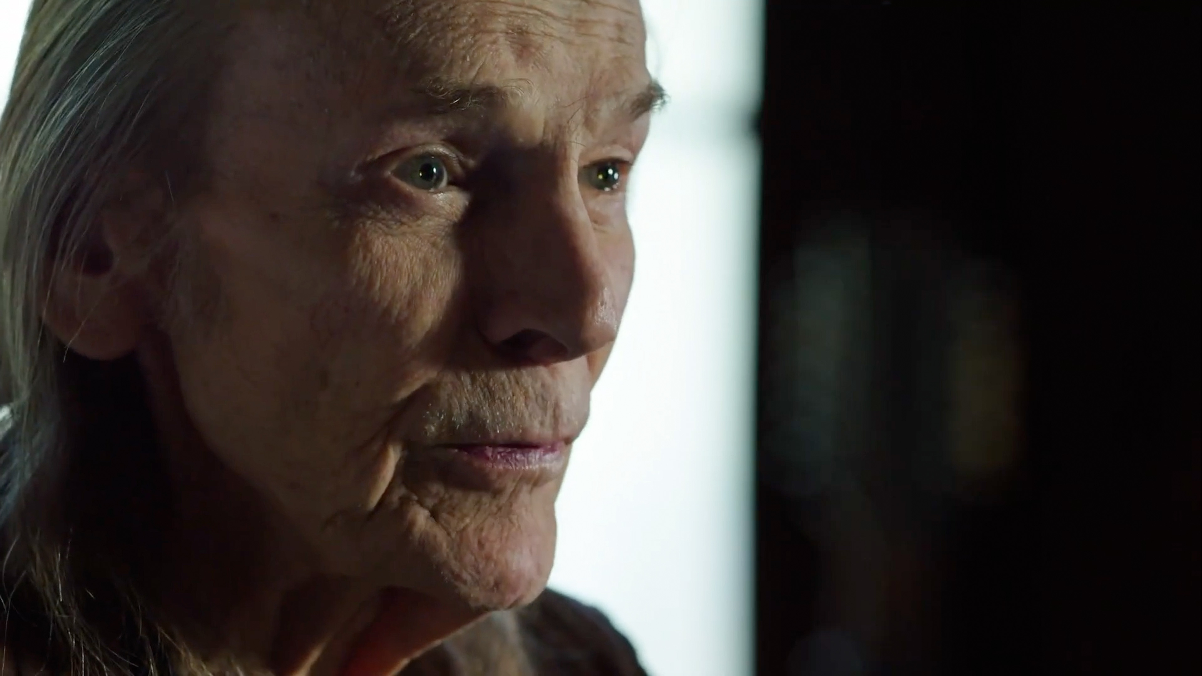 Gordon Lightfoot: If You Could Read My Mind – Official Trailer