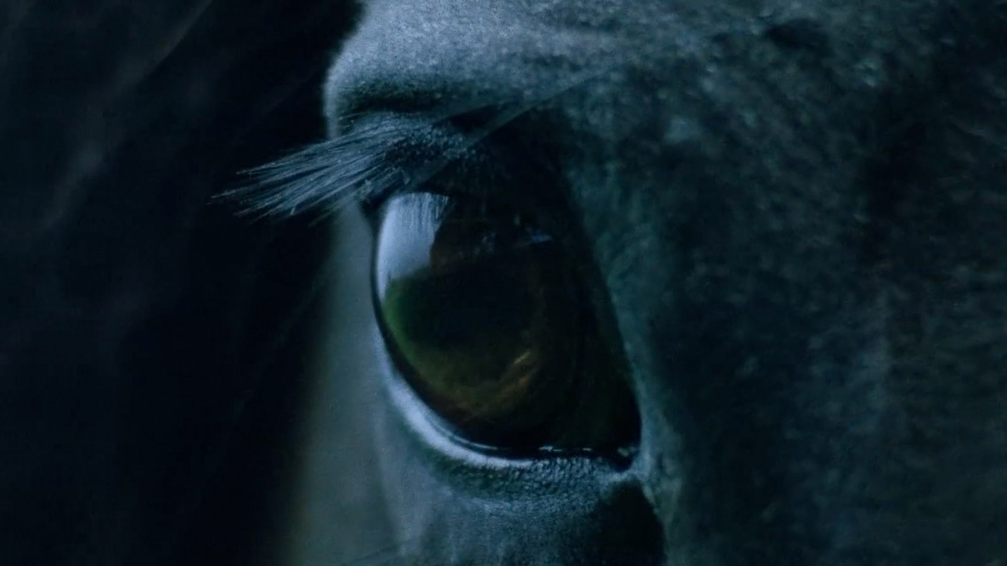 Kublai Khan TX – The Mountain of Corsicana