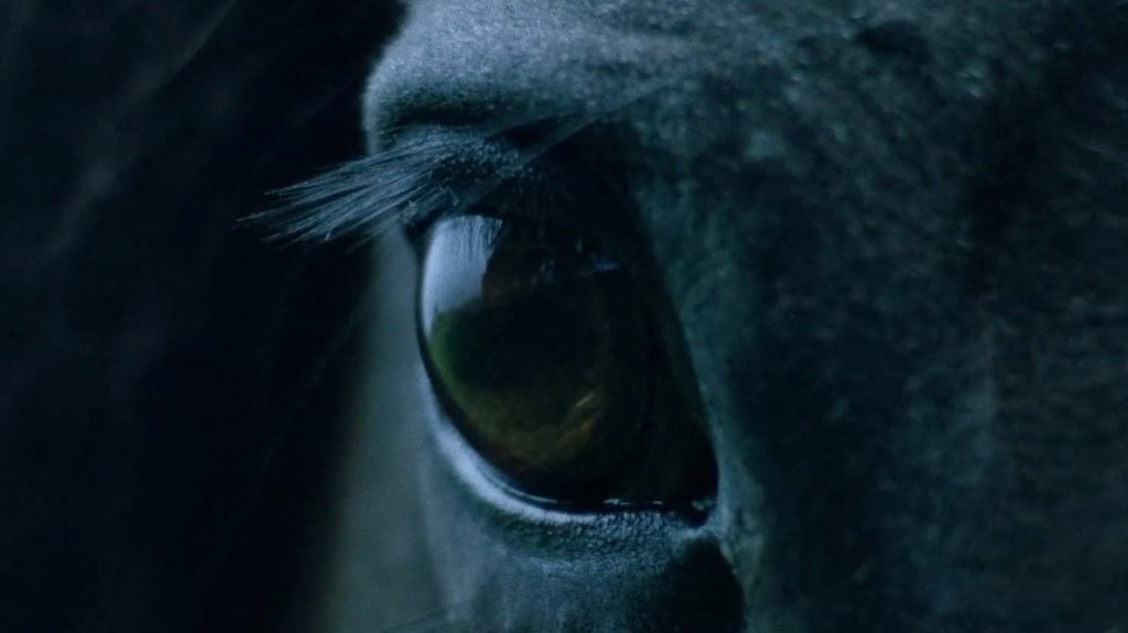 Kublai Khan TX - The Mountain of Corsicana