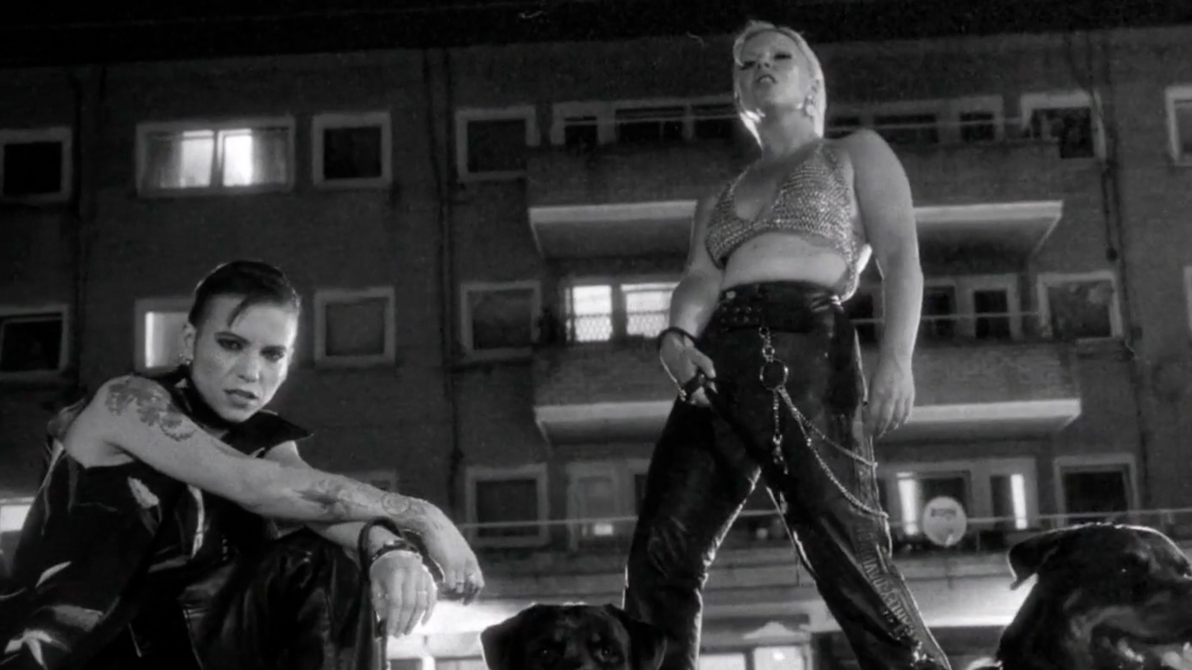 Bones UK – Milk