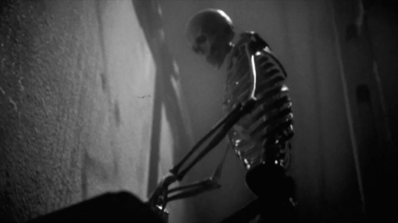 Sonic Temple 2026 – Date Announce