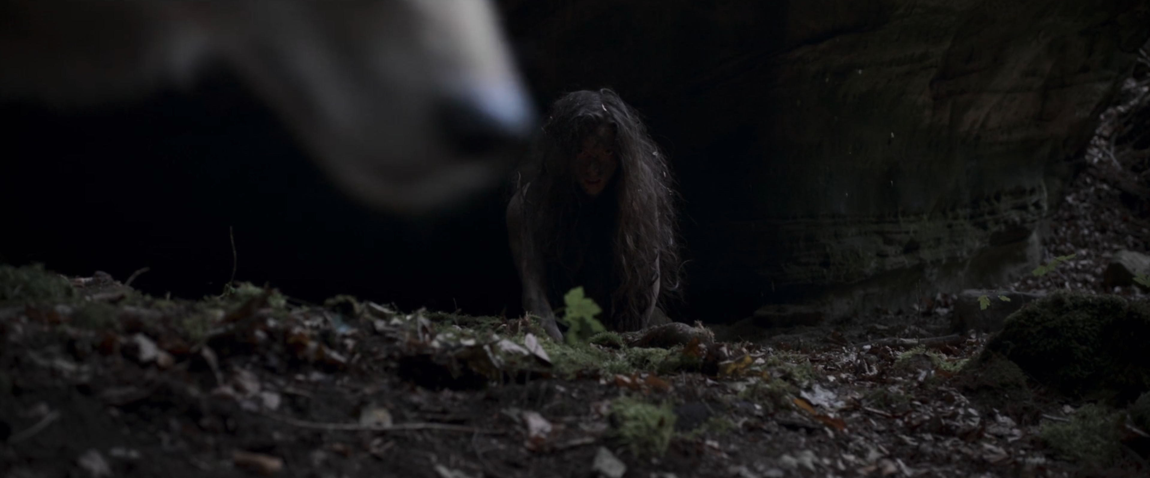 The Wolf, the Fox, & the Leopard